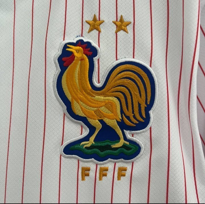 2024 France Away Kit from FootballPrestige.club - Premium Football Kits