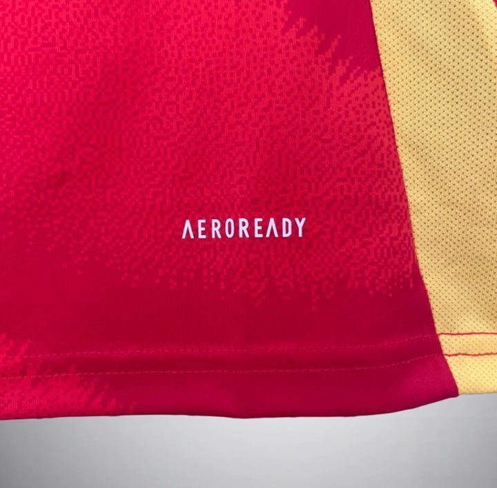 2024 Spain Home Kit from FootballPrestige.club - Premium Football Kits