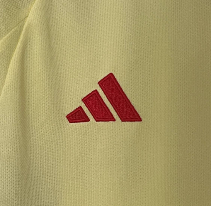 2024 Wales Away Kit from FootballPrestige.club - Premium Football Kits