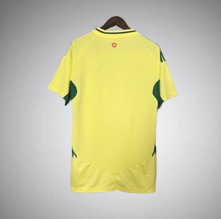 2024 Wales Away Kit from FootballPrestige.club - Premium Football Kits