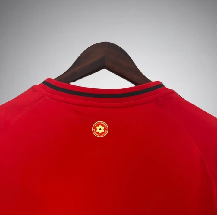 2024 Wales Home Kit from FootballPrestige.club - Premium Football Kits