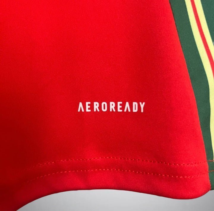 2024 Wales Home Kit from FootballPrestige.com - Premium Football Kits