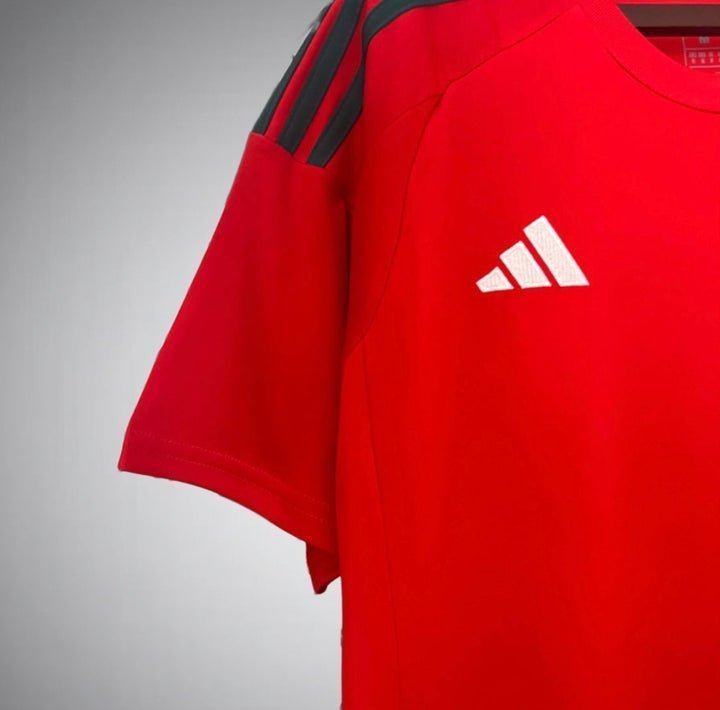2024 Wales Home Kit from FootballPrestige.com - Premium Football Kits