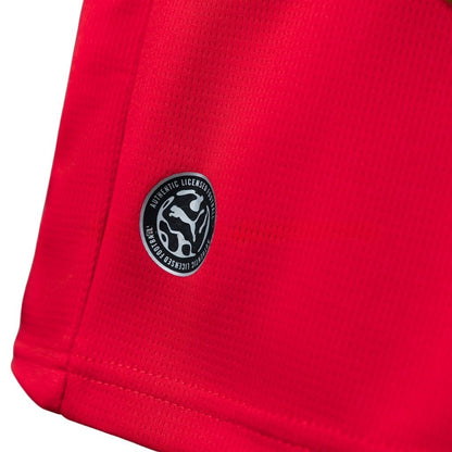 2026 Austria Home Kids Size Kit from FootballPrestige.com - Premium Football Kits