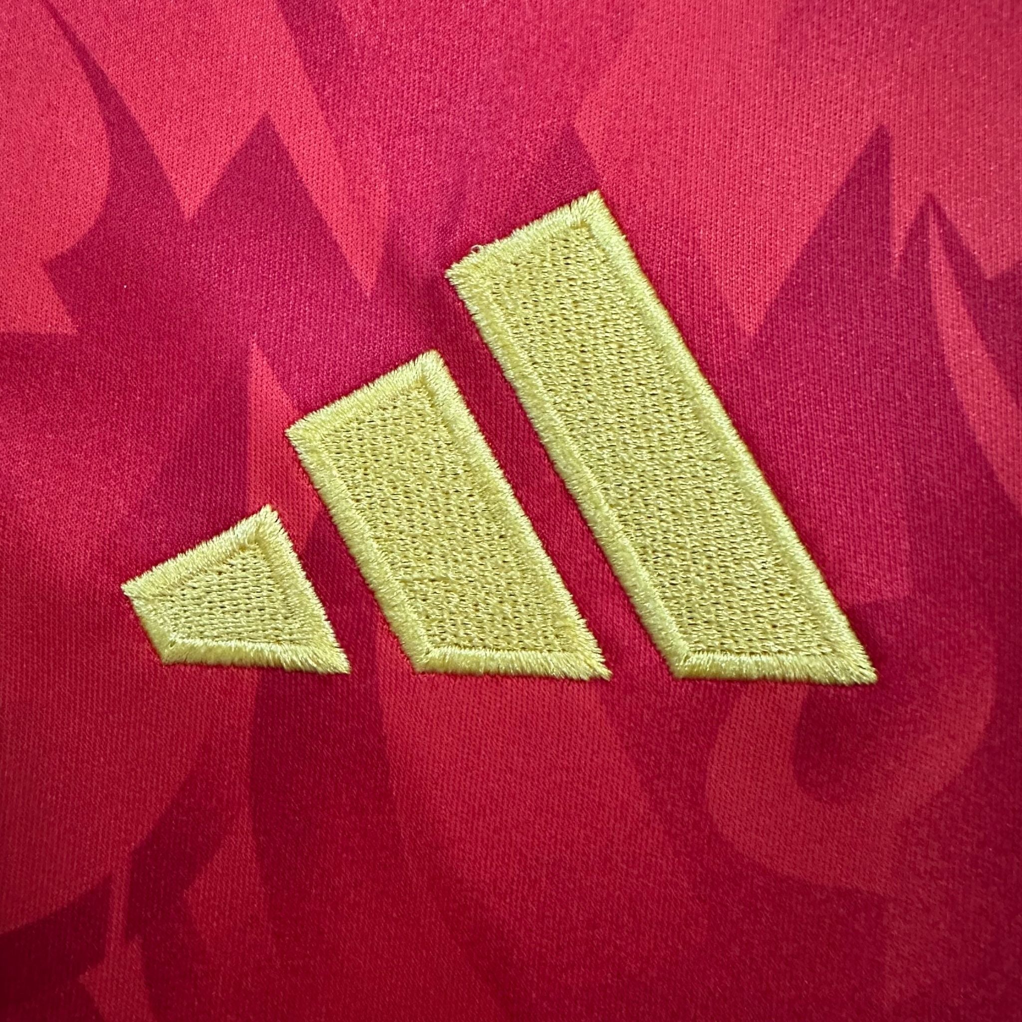 2026 Belgium Home Kit from FootballPrestige.club - Premium Football Kits