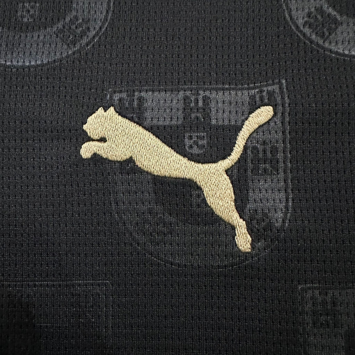 2026 Portugal "Black Panther" Premium Kit from FootballPrestige.shop - Premium Concept kits