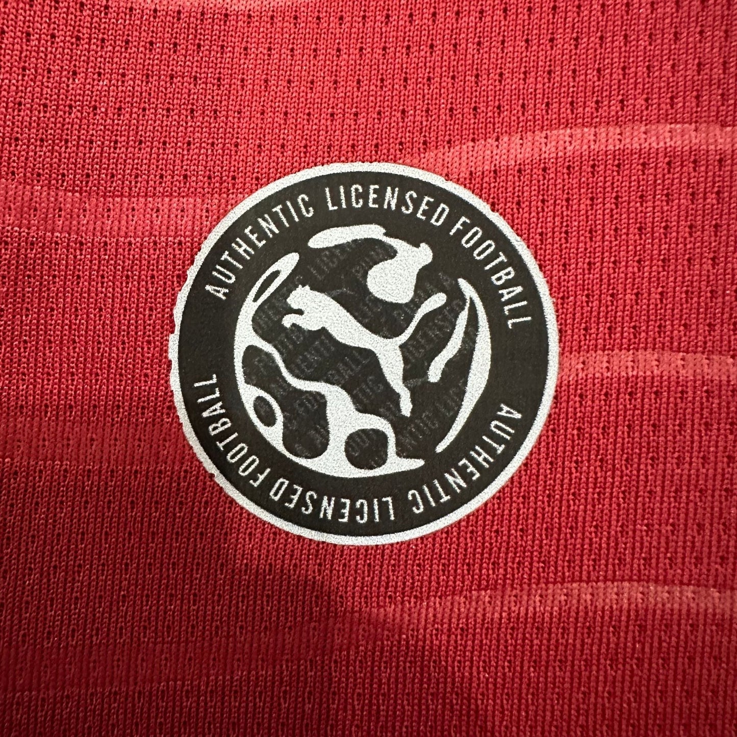 2026 Portugal Home Kit from FootballPrestige.com - Premium Football Kits