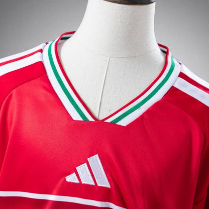 2026 Wales Home Kids Size Kit from FootballPrestige.com - Premium Football Kits