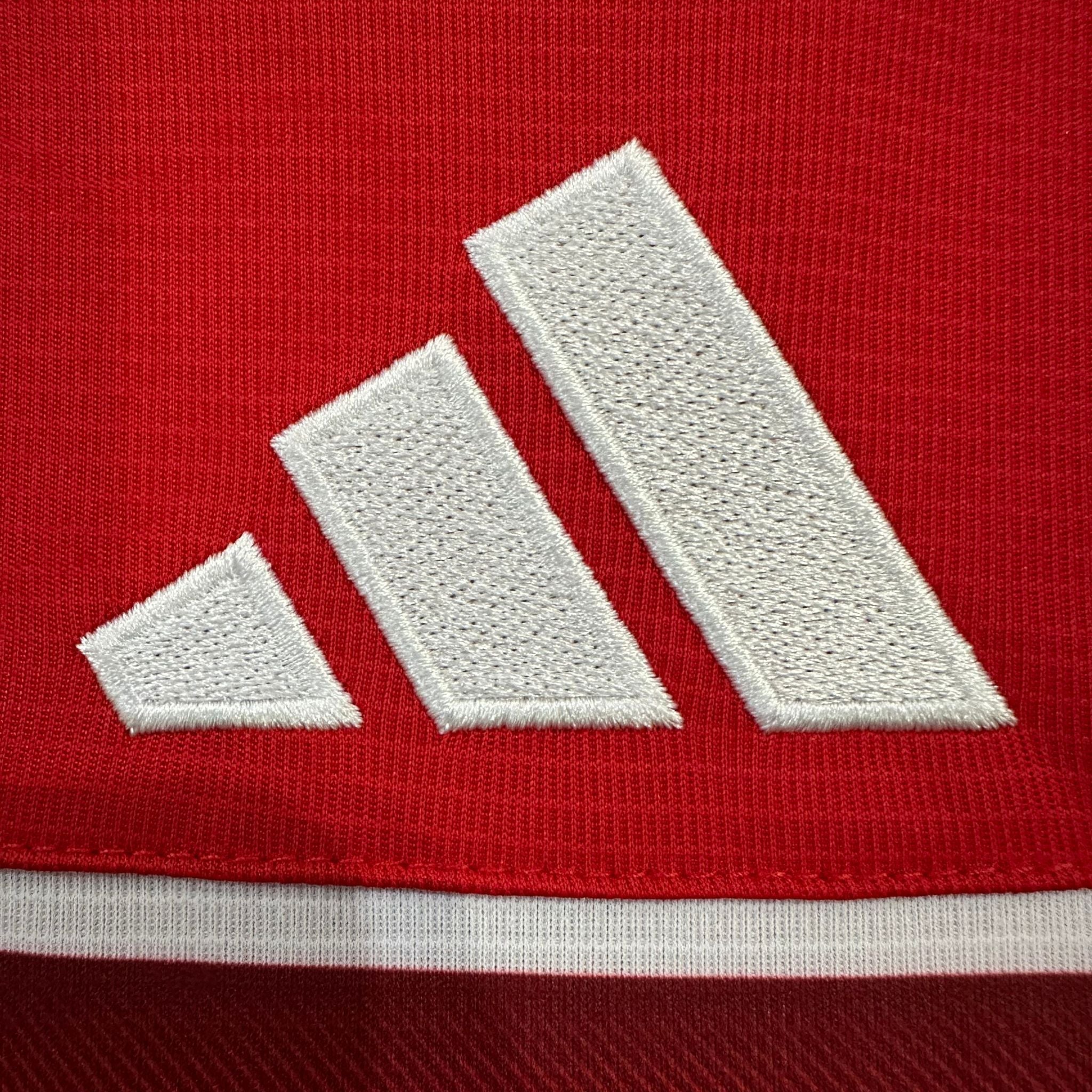 2026 Wales Home Kit from FootballPrestige.club - Premium Football Kits