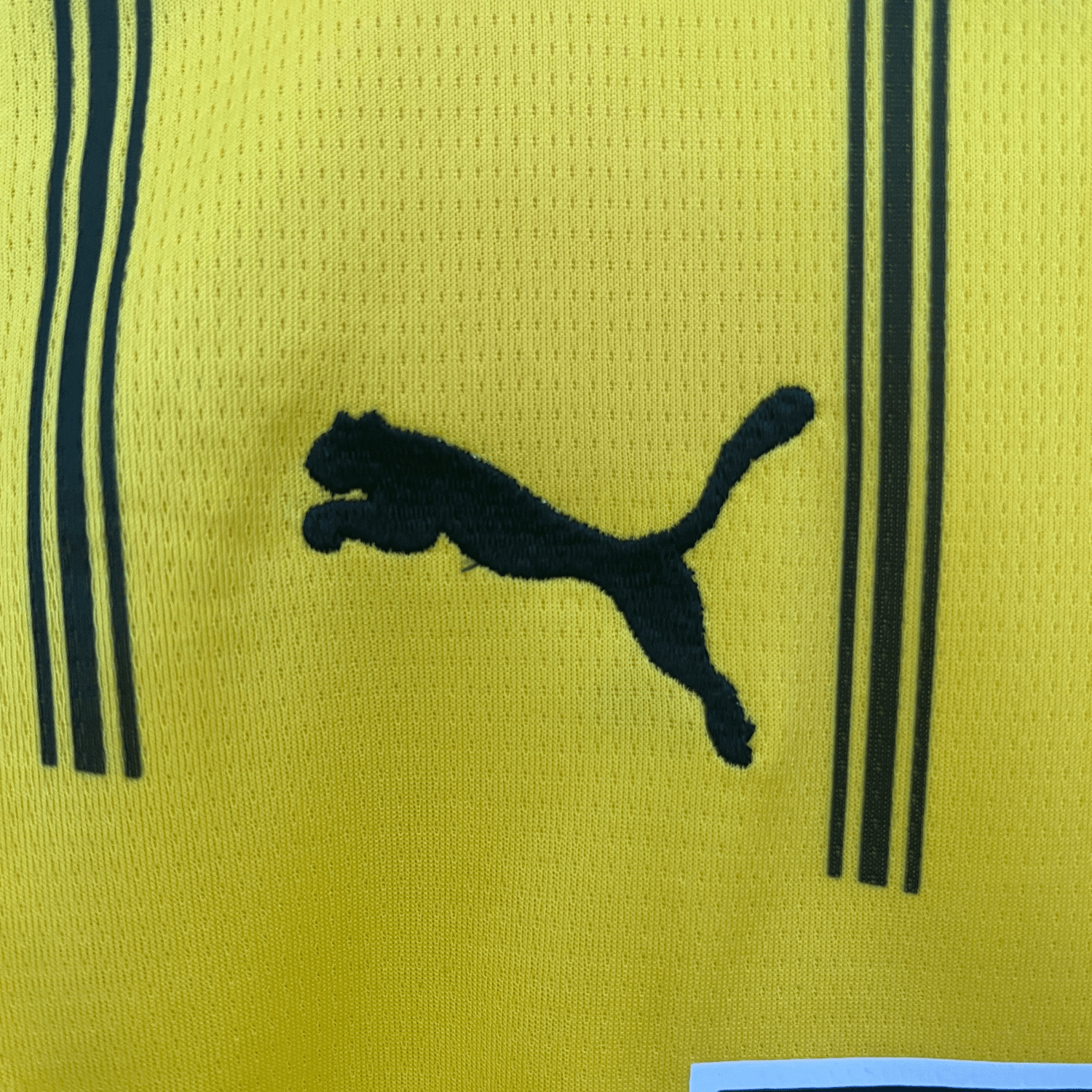 24/25 Borussia Dortmund Home Kids Size Kit from FootballPrestige.com - Premium Football Kits