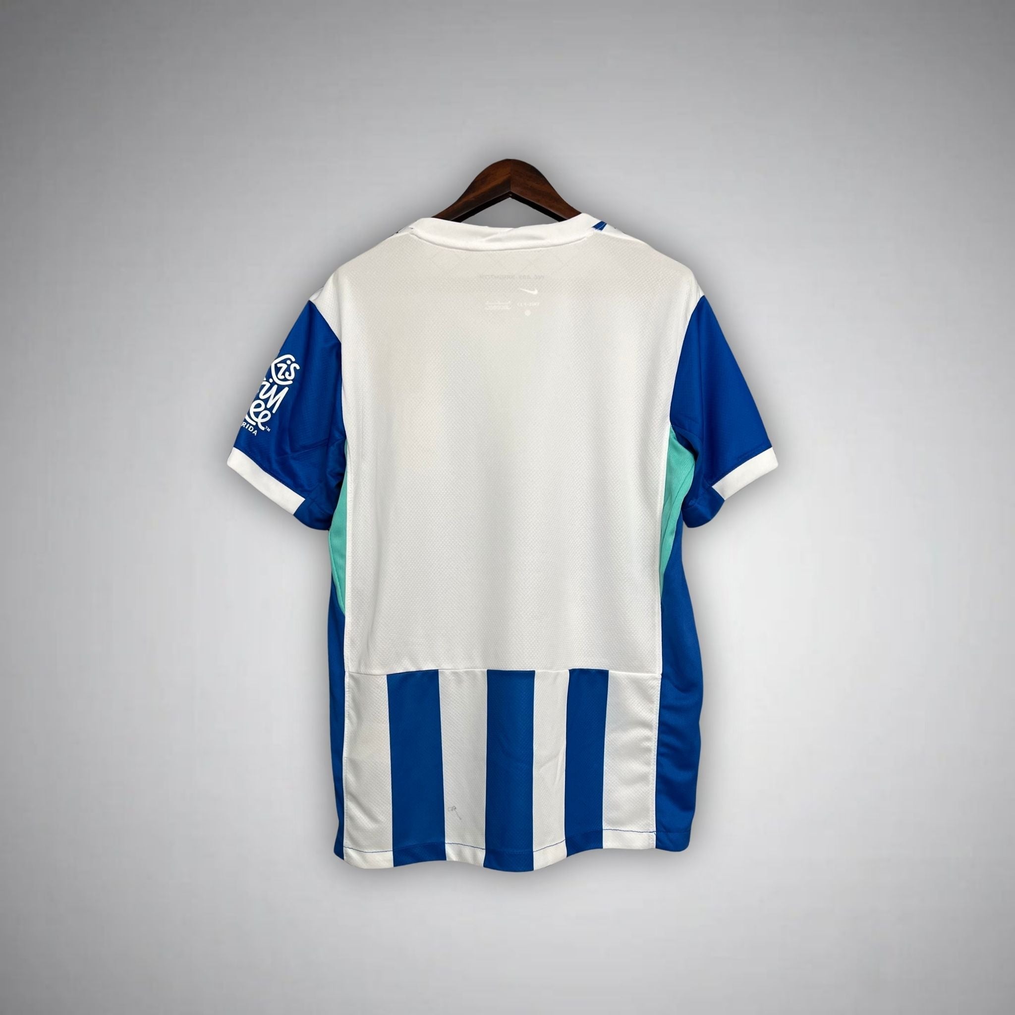 25/26 Brighton Home Kit from FootballPrestige.club - Premium Football Kits