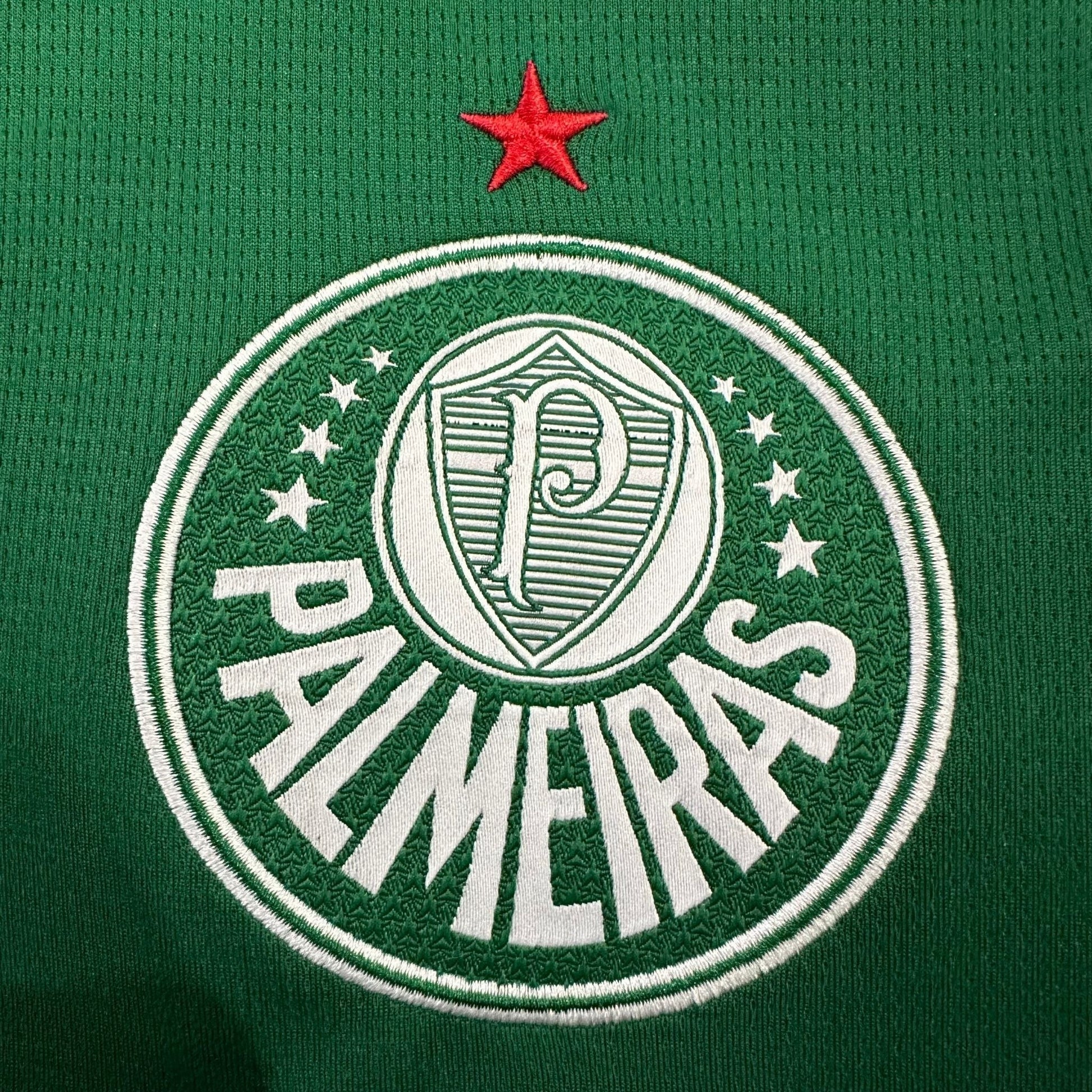 25/26 Palmeiras Home Kit from FootballPrestige.com - Premium Football Kits