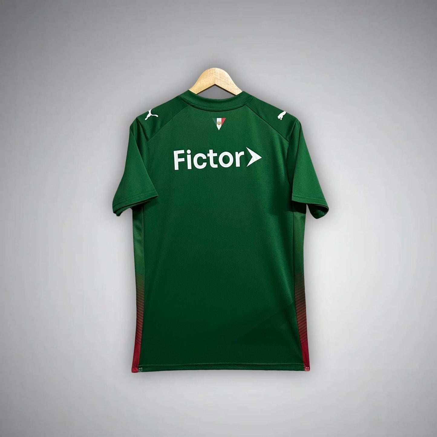 25/26 Palmeiras Home Kit from FootballPrestige.com - Premium Football Kits