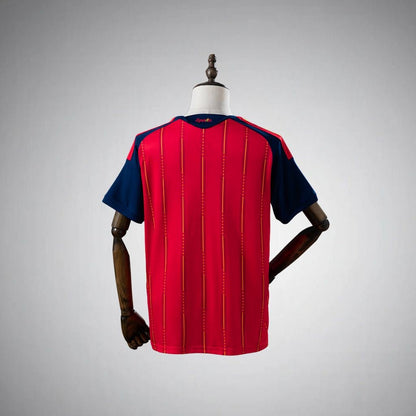 Winner 2026 Spain Home Kit