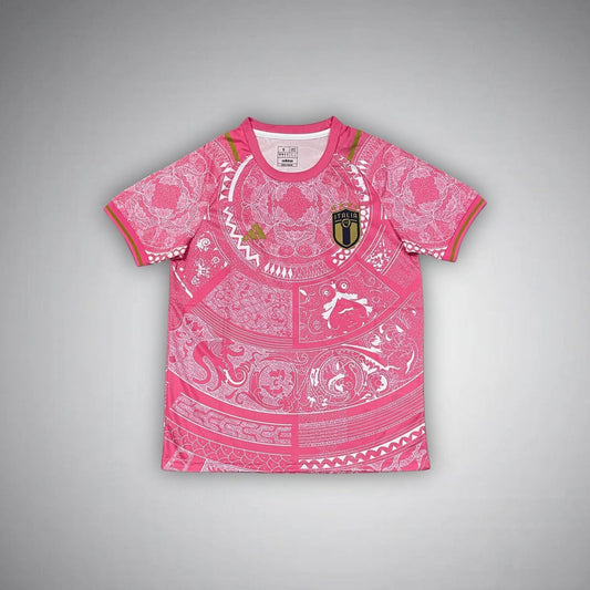 Italy "Stili di Roma" Premium Pink Kit from FootballPrestige.com - Premium Football Kits