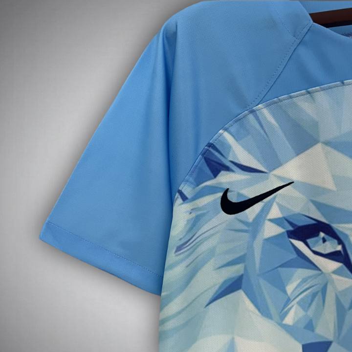 Netherlands "Blue Sky" Premium Kit from FootballPrestige.com - Premium Football Kits
